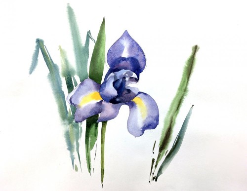 [Дарья Куцаева] Ботанический скетчинг акварелью. И_0.jpg